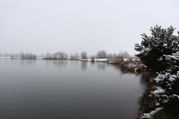 Opatovice nad Labem, 28.11.2021
Opaťák.
Schlüsselwörter: Opatovice nad Labem Pohřebačka Opaťák