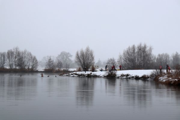 Opatovice nad Labem, 28.11.2021
Opaťák.
Mots-clés: Opatovice nad Labem Pohřebačka Opaťák