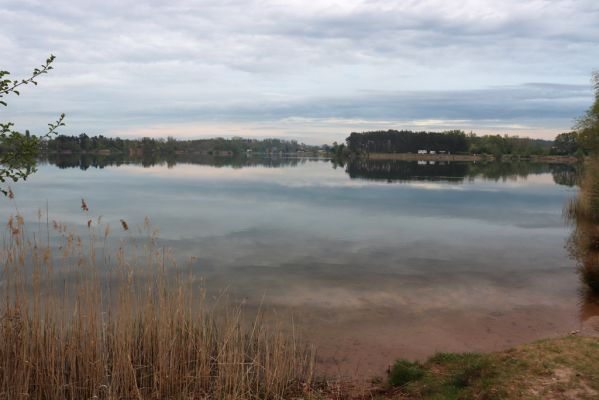 Opatovice nad Labem, 30.4.2020
Pohřebačka - Opaťák.
Klíčová slova: Opatovice nad Labem Pohřebačka Opaťák