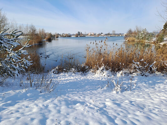 Opatovice nad Labem, 4.12.2023
Opaťák.
Schlüsselwörter: Opatovice nad Labem Opaťák