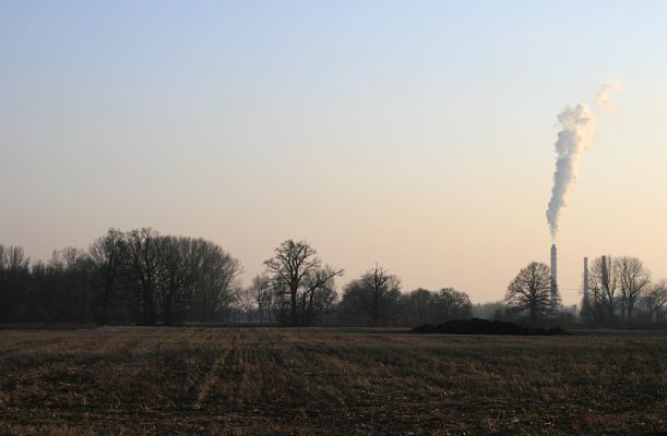 Opatovice-pole u Labe-10.2.2008
Na polích u Labe jsou roztroušeny mohutné solitérní duby.
Klíčová slova: Opatovice pole dub eletrárna