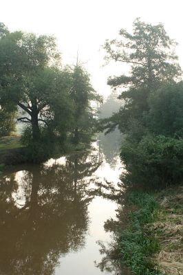 Opatovice-Opatovický kanál-26.8.2007
U odbočky k Vysoké nad Labem. Ranní mlhy nad kanálem.
Klíčová slova: Opatovice Opatovický kanál