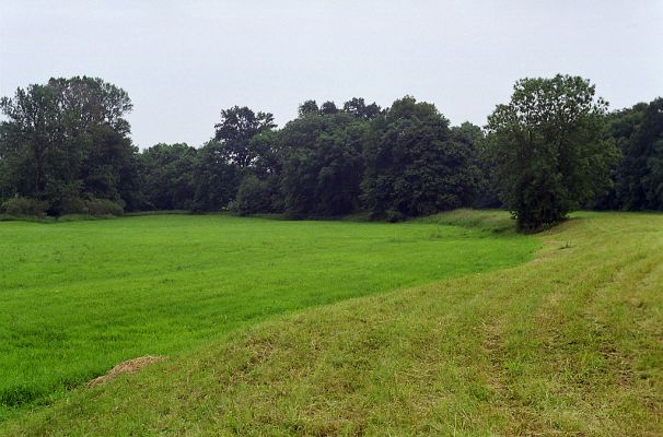 Opatovice-Polabiny,9.6.2002
Poledne, zataženo, před bouřkou. Na záplavových lukách probíhá rojení kovaříků Oedostethus quadripustulatus
Keywords: Opatovice Polabiny Oedostethus quadripustulatus