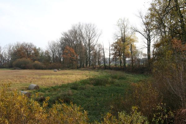 Opatovice nad Labem, Hrozná, 14.11.2009
Přírodní památka Hrozná - pohled na slepé rameno Labe.
Klíčová slova: Opatovice nad Labem Hrozná