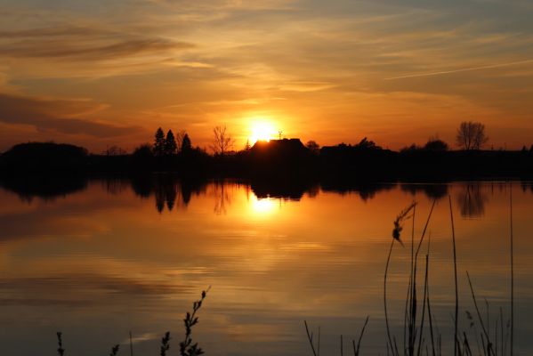 Opatovice nad Labem, 15.4.2020
Pohřebačka - Opaťák.
Klíčová slova: Opatovice nad Labem Pohřebačka Opaťák
