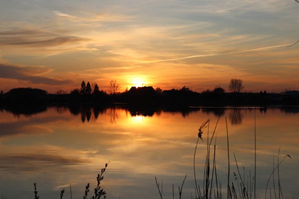 Opatovice nad Labem, 15.4.2020
Pohřebačka - Opaťák.
Klíčová slova: Opatovice nad Labem Pohřebačka Opaťák