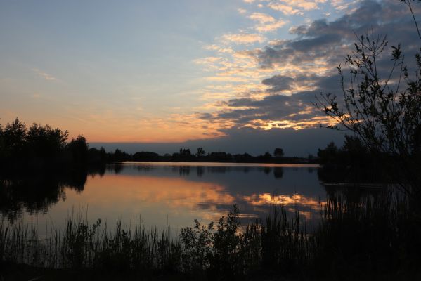 Opatovice nad Labem, 15.5.2020
Pohřebačka - Opaťák.
Klíčová slova: Opatovice nad Labem Pohřebačka Opaťák