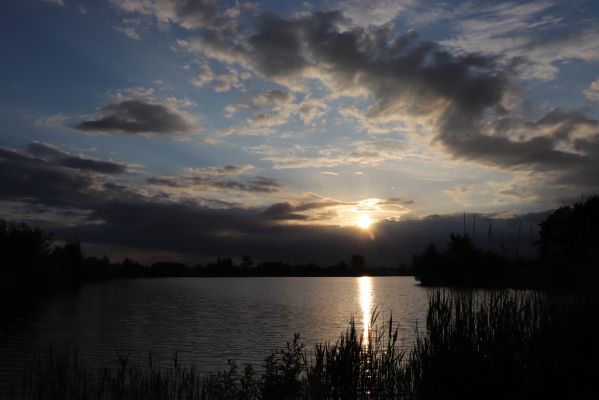 Opatovice nad Labem, 24.5.2020
Pohřebačka - Opaťák.
Mots-clés: Opatovice nad Labem Pohřebačka Opaťák