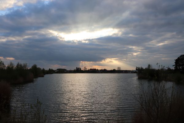 Opatovice nad Labem, 25.4.2020
Pohřebačka - Opaťák.
Keywords: Opatovice nad Labem Pohřebačka Opaťák