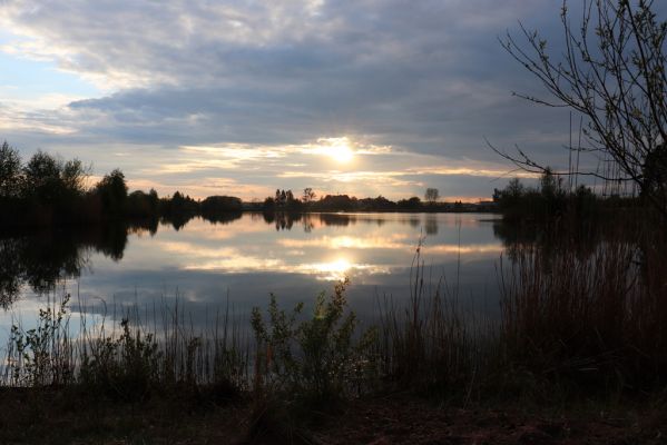 Opatovice nad Labem, 29.4.2020
Pohřebačka - Opaťák.
Klíčová slova: Opatovice nad Labem Pohřebačka Opaťák