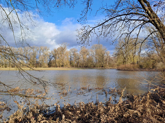 Opatovice nad Labem, 30.12.2023
Polabiny.
Keywords: Opatovice nad Labem Polabiny