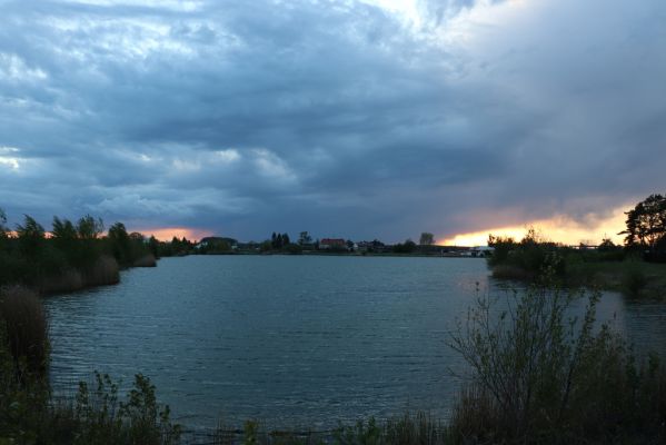 Opatovice nad Labem, 5.5.2020
Pohřebačka - Opaťák.
Mots-clés: Opatovice nad Labem Pohřebačka Opaťák