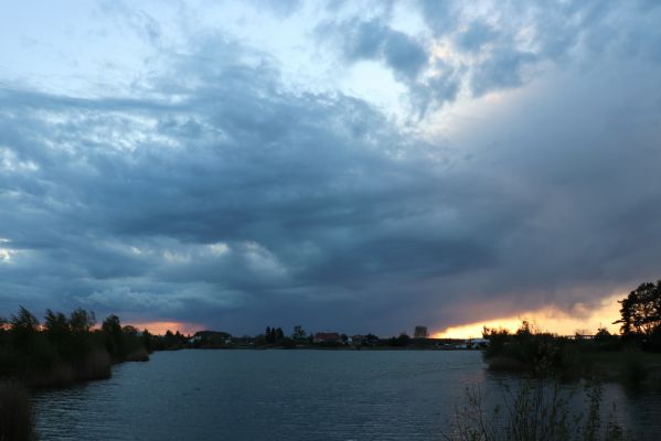 Opatovice nad Labem, 5.5.2020
Pohřebačka - Opaťák.
Klíčová slova: Opatovice nad Labem Pohřebačka Opaťák