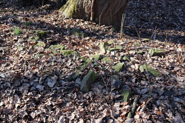 Opatovice nad Labem, 6.3.2021
Velký ostrov.
Klíčová slova: Opatovice nad Labem Velký Ostrov