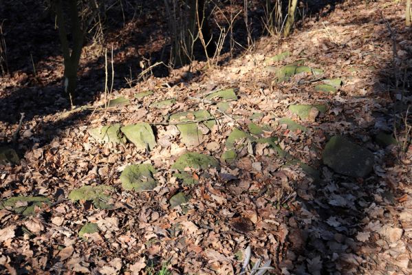 Opatovice nad Labem, 6.3.2021
Velký ostrov.
Klíčová slova: Opatovice nad Labem Velký Ostrov