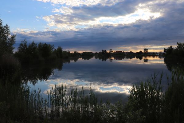 Opatovice nad Labem, 6.6.2020
Pohřebačka - Opaťák.
Schlüsselwörter: Opatovice nad Labem Pohřebačka Opaťák