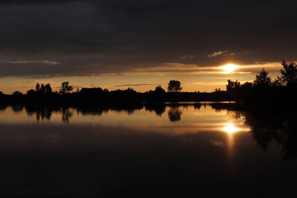 Opatovice nad Labem, 6.6.2020
Pohřebačka - Opaťák.
Klíčová slova: Opatovice nad Labem Pohřebačka Opaťák