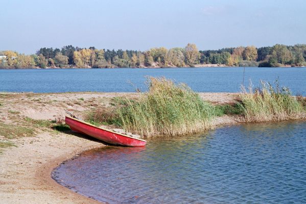 Opatovice nad Labem, podzim 2003
Písník Opaťák.



Schlüsselwörter: Opatovice nad Labem Pohřebačka písník Opaťák