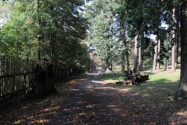 Opočno, 2.10.2020
Obora Opočno, jižní část.
Klíčová slova: Opočno obora
