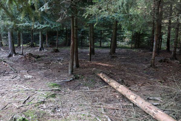 Opočno, 2.10.2020
Obora Opočno, jižní část.
Klíčová slova: Opočno obora