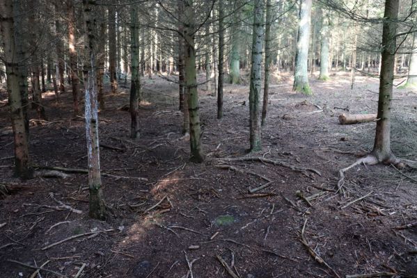 Opočno, 2.10.2020
Obora Opočno, jižní část.
Klíčová slova: Opočno obora