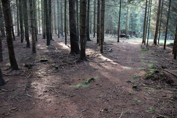 Opočno, 2.10.2020
Obora Opočno - jižní část.
Klíčová slova: Opočno obora