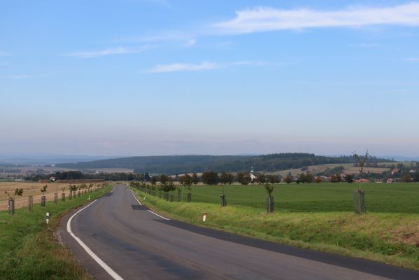 Opočno, 2.10.2020
Pohled na oboru Opočno z jihu ze silnice na Křivice.
Klíčová slova: Opočno obora
