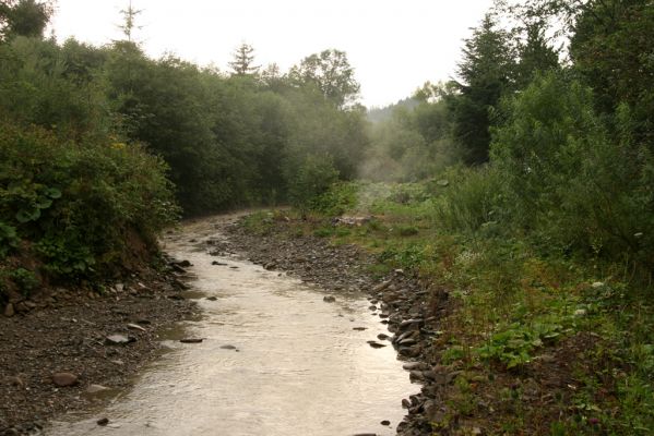 Oravská Polhora, 28.7.2018
Meandry Vonžovce.
Schlüsselwörter: Orava Oravská Polhora Vonžovec