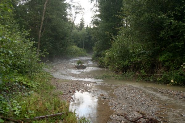 Oravská Polhora, 28.7.2018
Meandry Vonžovce.
Schlüsselwörter: Orava Oravská Polhora Vonžovec