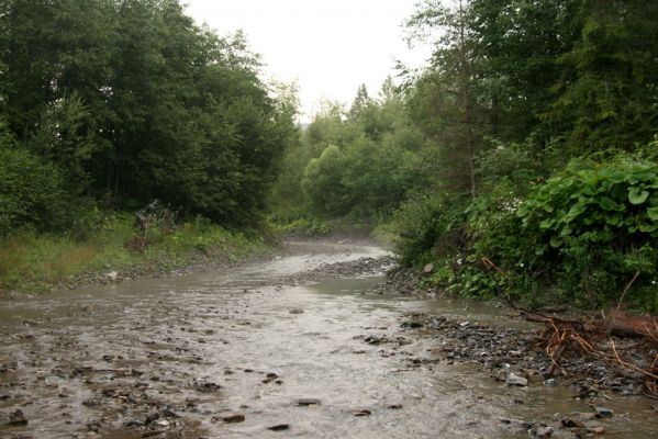 Oravská Polhora, 28.7.2018
Meandry Vonžovce.
Mots-clés: Orava Oravská Polhora Vonžovec