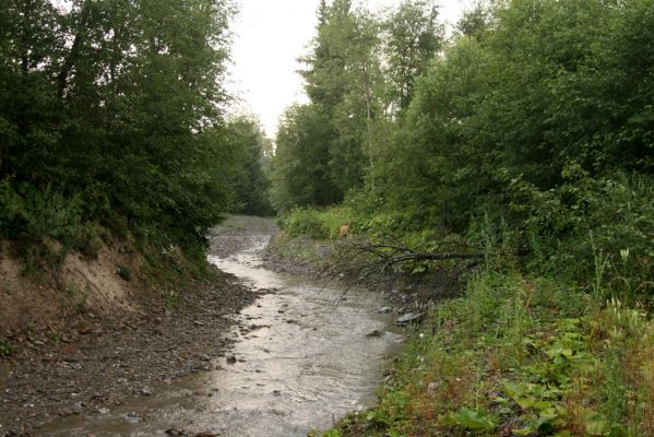 Oravská Polhora, 28.7.2018
Meandry Vonžovce.
Klíčová slova: Orava Oravská Polhora Vonžovec