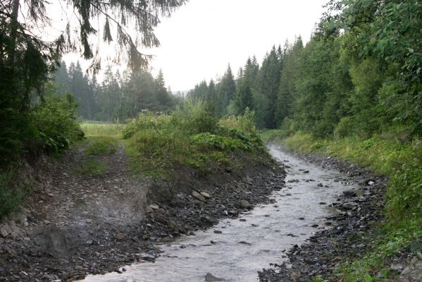 Oravská Polhora, 28.7.2018
Meandry Vonžovce - brod.
Klíčová slova: Orava Oravská Polhora Vonžovec