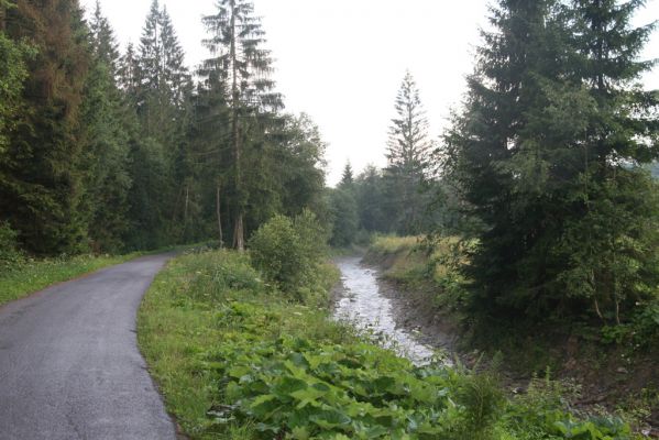 Oravská Polhora, 28.7.2018
Meandry Vonžovce.
Klíčová slova: Orava Oravská Polhora Vonžovec