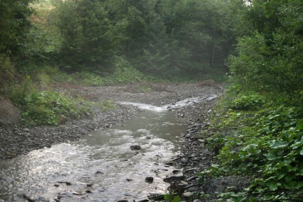 Oravská Polhora, 28.7.2018
Meandry Vonžovce.
Klíčová slova: Orava Oravská Polhora Vonžovec