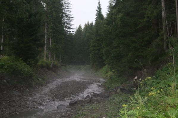 Oravská Polhora, 28.7.2018
Meandry Vonžovce.
Klíčová slova: Orava Oravská Polhora Vonžovec