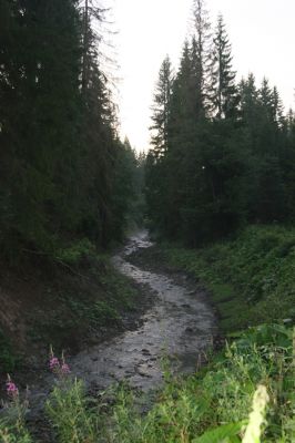 Oravská Polhora, 28.7.2018
Meandry Vonžovce.
Keywords: Orava Oravská Polhora Vonžovec