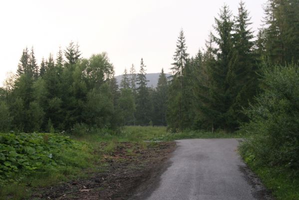 Oravská Polhora, 28.7.2018
Dolina Vonžovce u rozcestí k Hviezdoslavově horárni.
Mots-clés: Orava Oravská Polhora Vonžovec