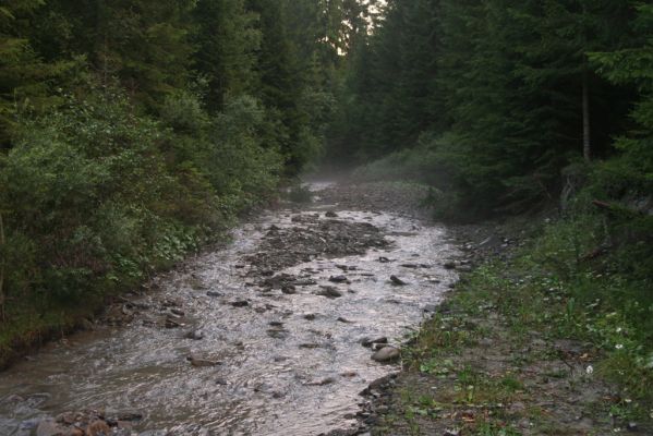 Oravská Polhora, 28.7.2018
Meandry Vonžovce.
Keywords: Orava Oravská Polhora Vonžovec