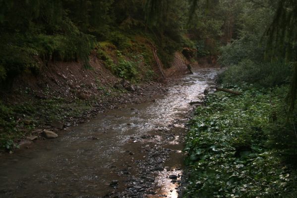 Oravská Polhora, 28.7.2018
Meandry Vonžovce.
Schlüsselwörter: Orava Oravská Polhora Vonžovec