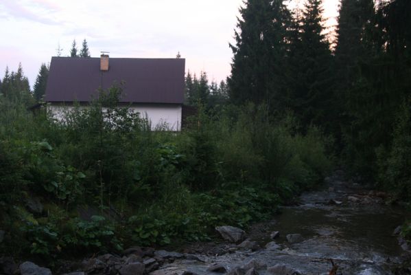 Oravská Polhora, 28.7.2018
Meandry Vonžovce - lovecká chata pod rozcestím Pod Borkem.
Klíčová slova: Orava Oravská Polhora Vonžovec lovecká chata Adrastus pallens axillaris