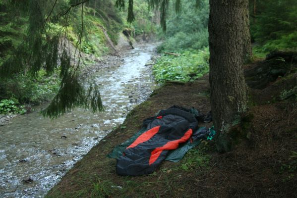 Oravská Polhora, 29.7.2018
Meandry Vonžovce - ráno na břehu. 
Keywords: Orava Oravská Polhora Vonžovec