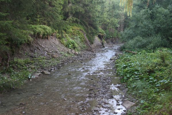 Oravská Polhora, 29.7.2018
Meandry Vonžovce.
Klíčová slova: Orava Oravská Polhora Vonžovec