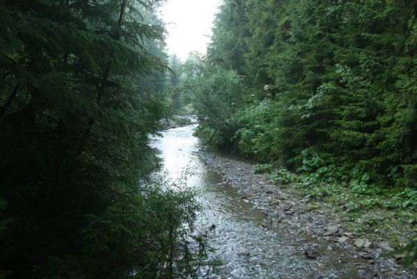 Oravská Polhora, 29.7.2018
Meandry Vonžovce.
Klíčová slova: Orava Oravská Polhora Vonžovec