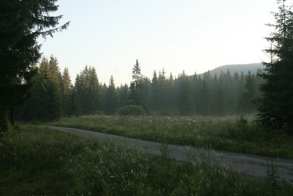 Oravská Polhora, 29.7.2018
Vonžovec - podmáčené louky na úpatí Babí hory.
Mots-clés: Orava Oravská Polhora Vonžovec Babia hora