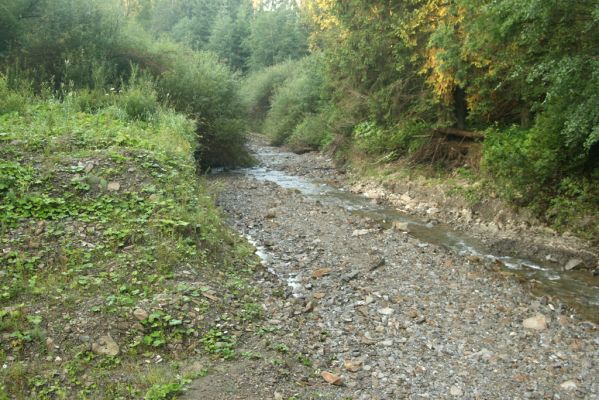 Oravská Polhora, 29.7.2018
Meandry Vonžovce.
Klíčová slova: Orava Oravská Polhora Vonžovec Zorochros dermestoides