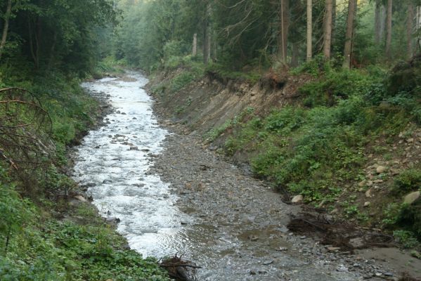 Oravská Polhora, 29.7.2018
Meandry Vonžovce.
Klíčová slova: Orava Oravská Polhora Vonžovec