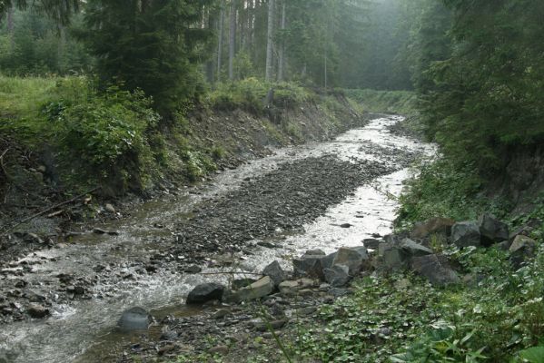 Oravská Polhora, 29.7.2018
Meandry Vonžovce.
Klíčová slova: Orava Oravská Polhora Vonžovec
