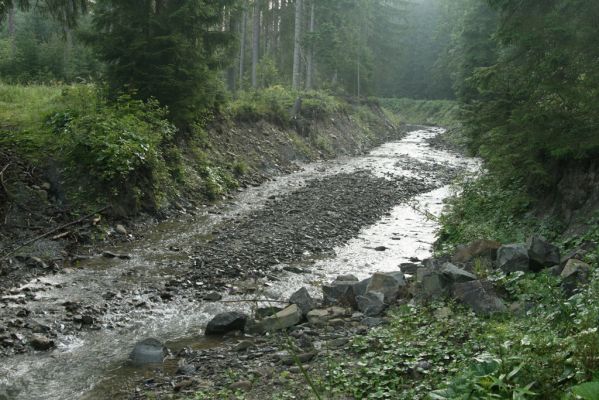 Oravská Polhora, 29.7.2018
Meandry Vonžovce.
Mots-clés: Orava Oravská Polhora Vonžovec