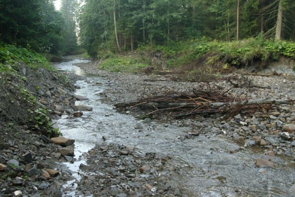 Oravská Polhora, 29.7.2018
Meandry Vonžovce.
Klíčová slova: Orava Oravská Polhora Vonžovec