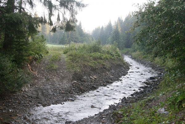 Oravská Polhora, 29.7.2018
Meandry Vonžovce - brod.
Keywords: Orava Oravská Polhora Vonžovec